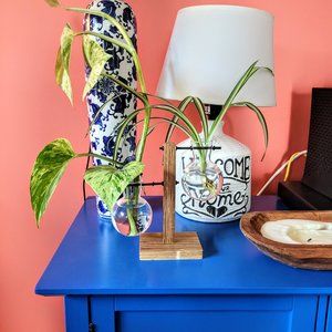 Glass Plant Terrarium for Hydroponics Plants **BRAND NEW**